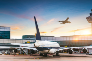 Fliegen Mit Hund Erfahrung Fazit