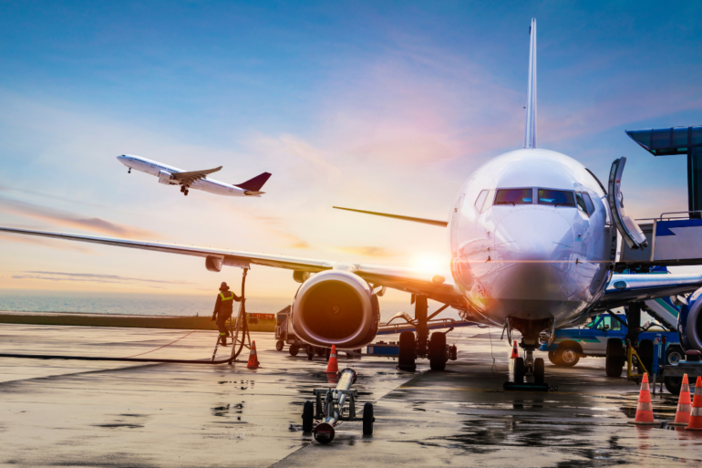 Fliegen Mit Hund Vorbereitung