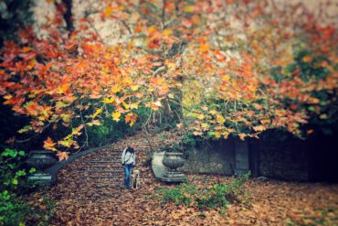 Tatoi Palace Park In Athen