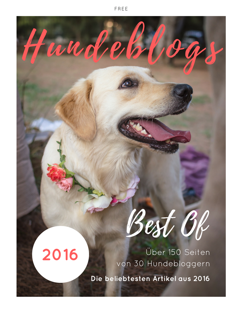 Coverebookbestofhundeblogs2016 1