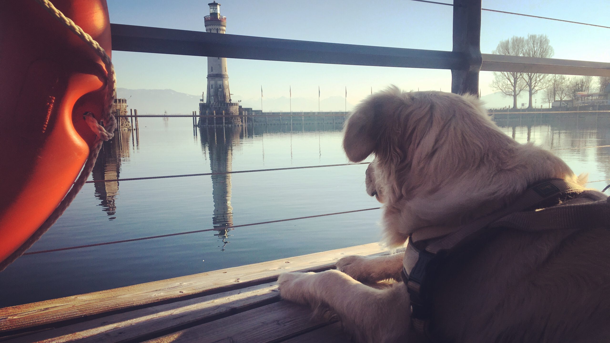 Bodensee Mit Hund 01