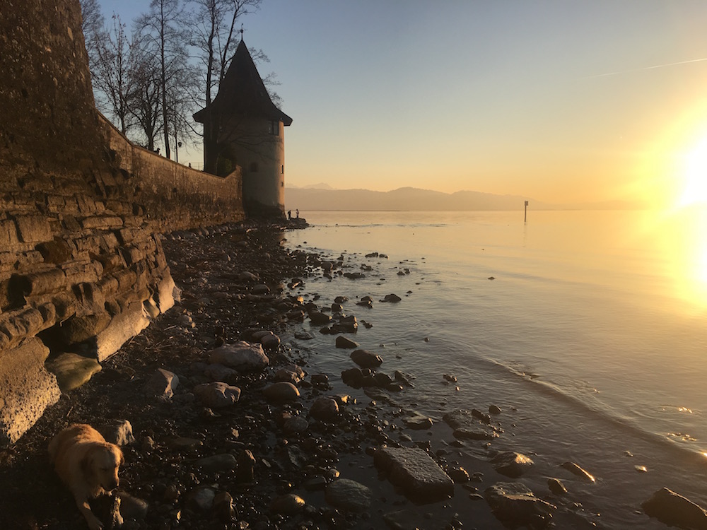 Bodensee Mit Hund 05