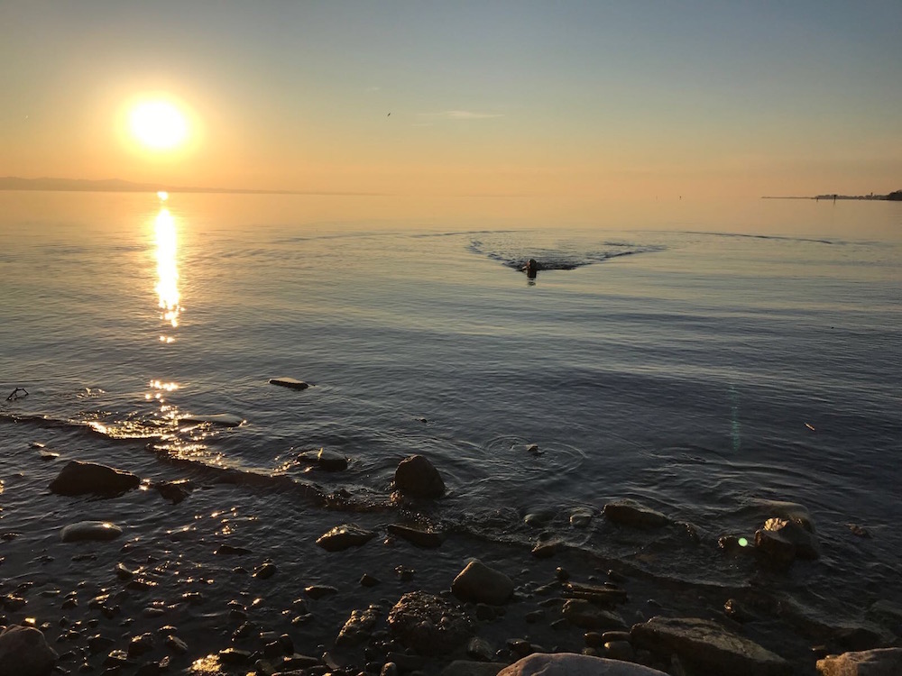 Bodensee Mit Hund 06