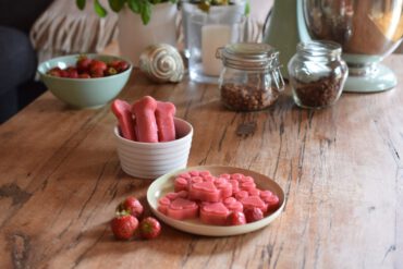 Hundeblog Rezepte Erdbeeren