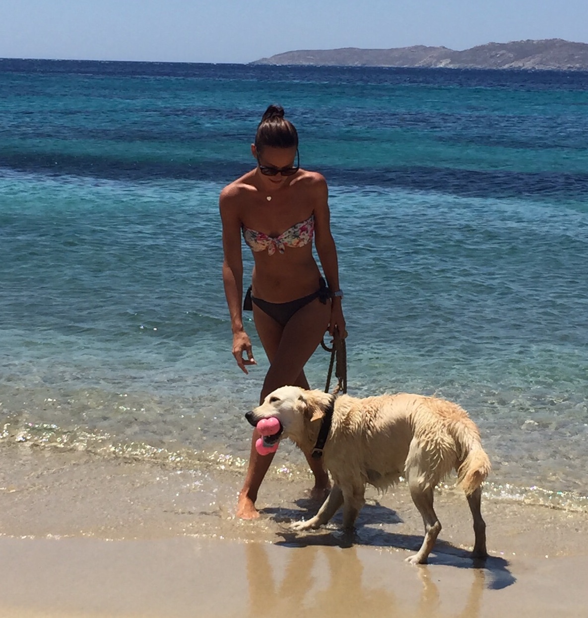 Mykonos Mit Hund Strand 10