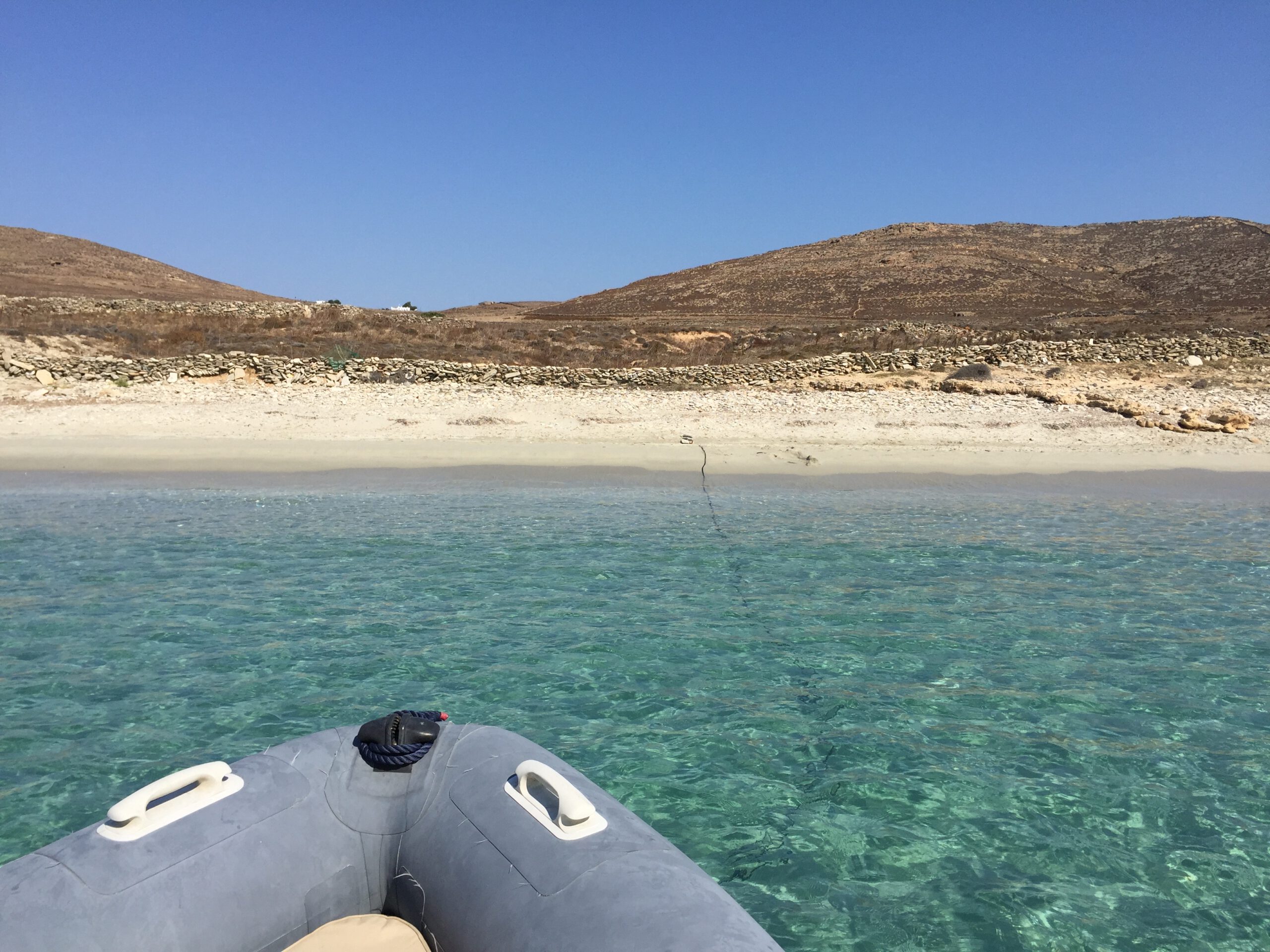 Mykonos Mit Hund Strand 12