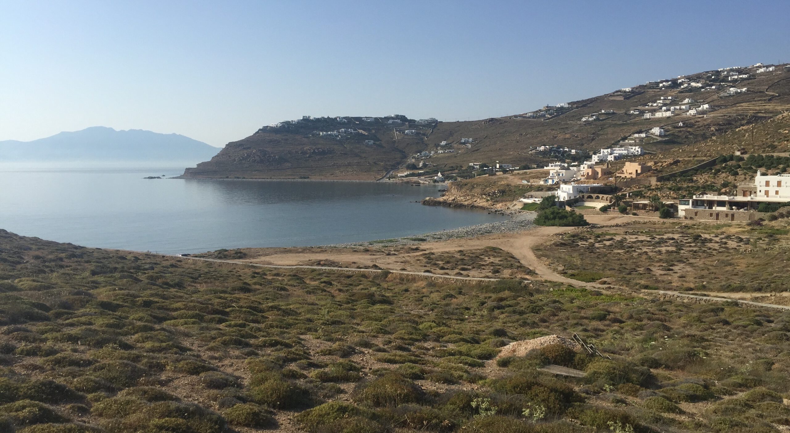 Mykonos Mit Hund Strand 5