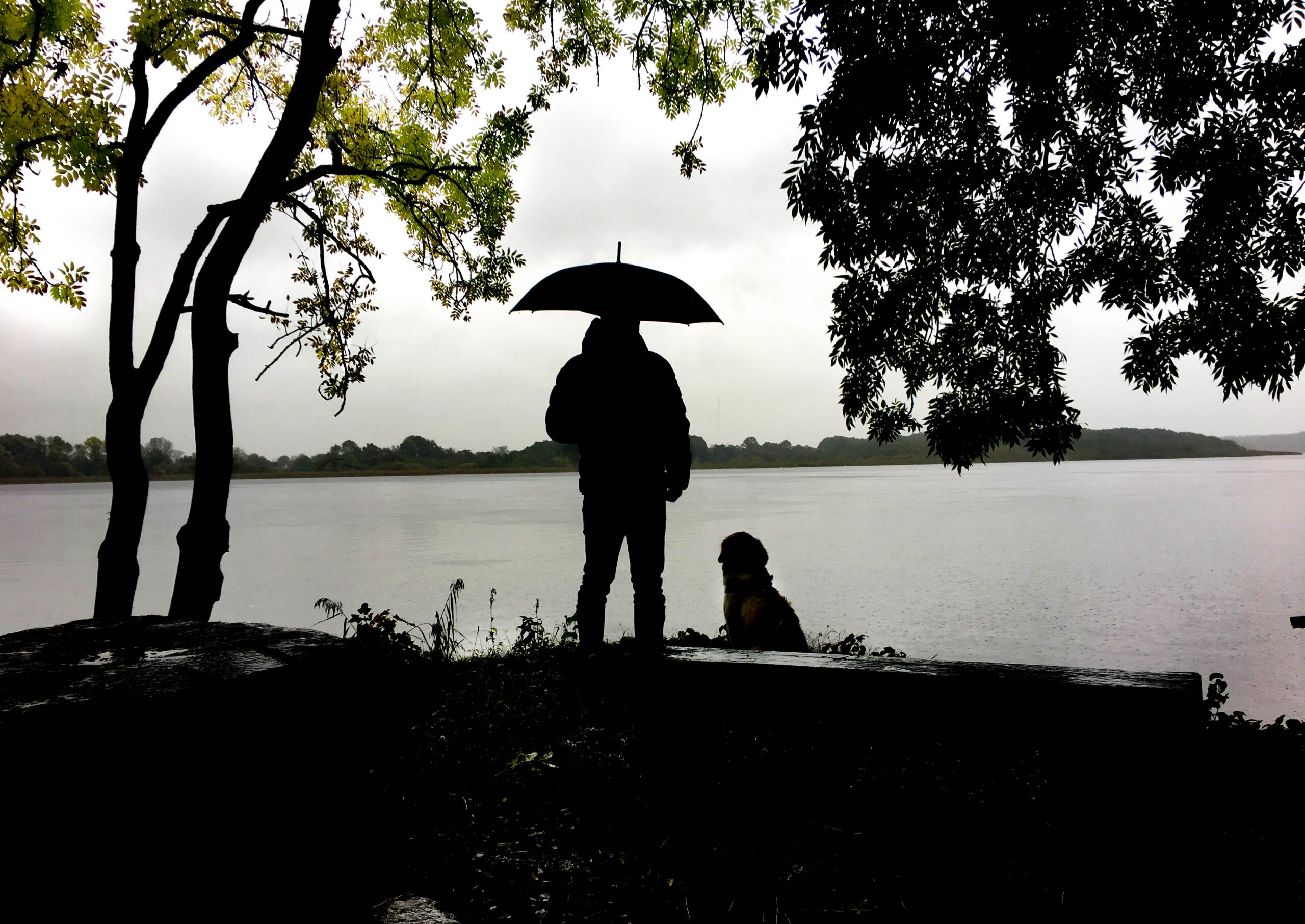 Ruppinersee Urlaub Mit Hund 05