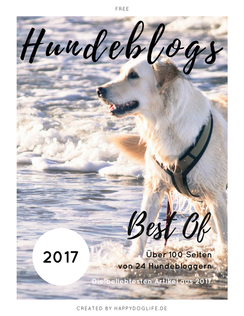 2017 Cover