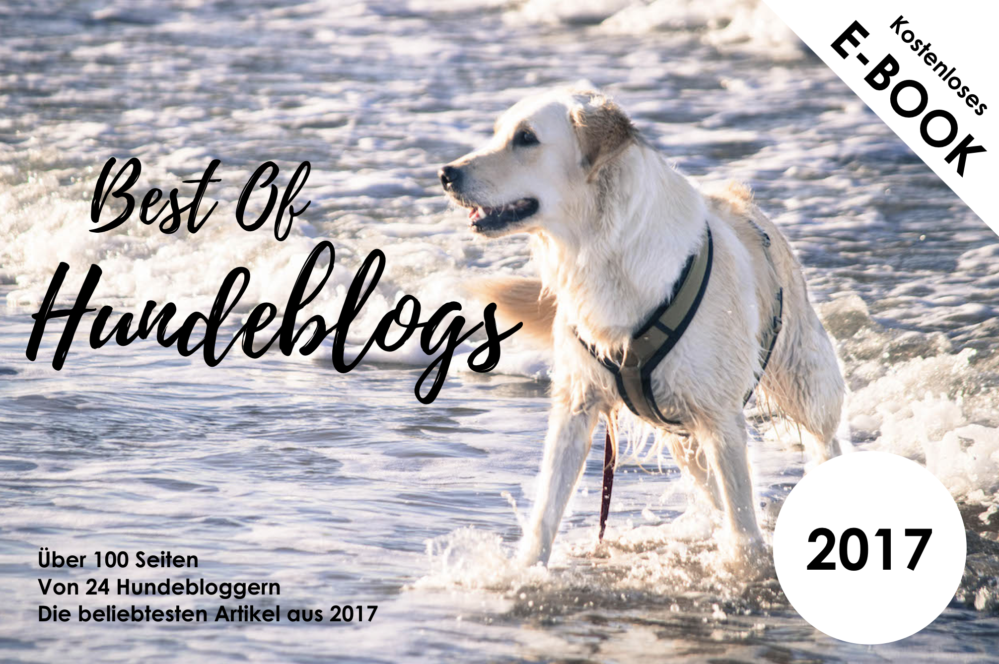 Bestoffhundeblogs2017