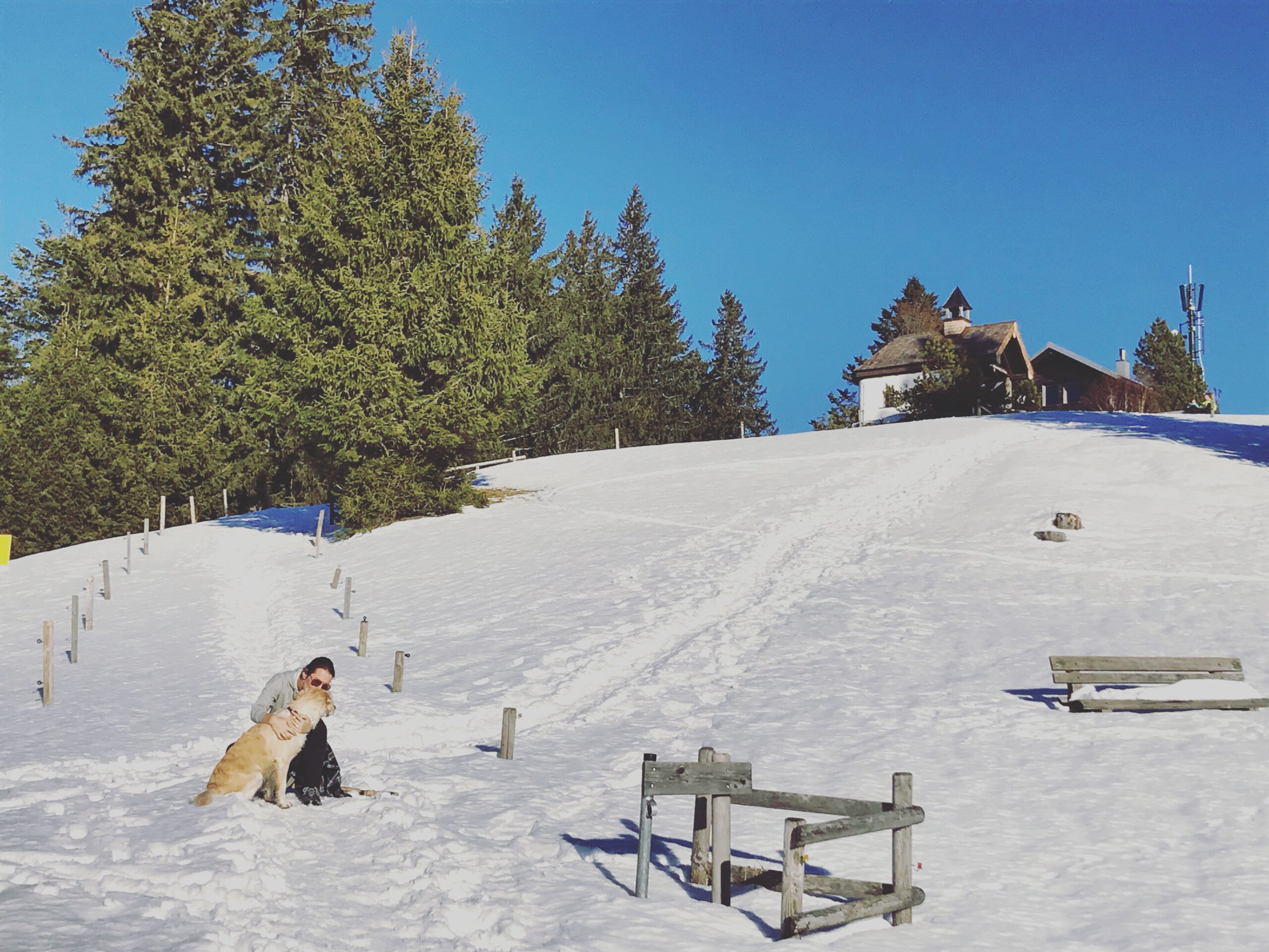 Dastegernsee Hote Mit Hund 4