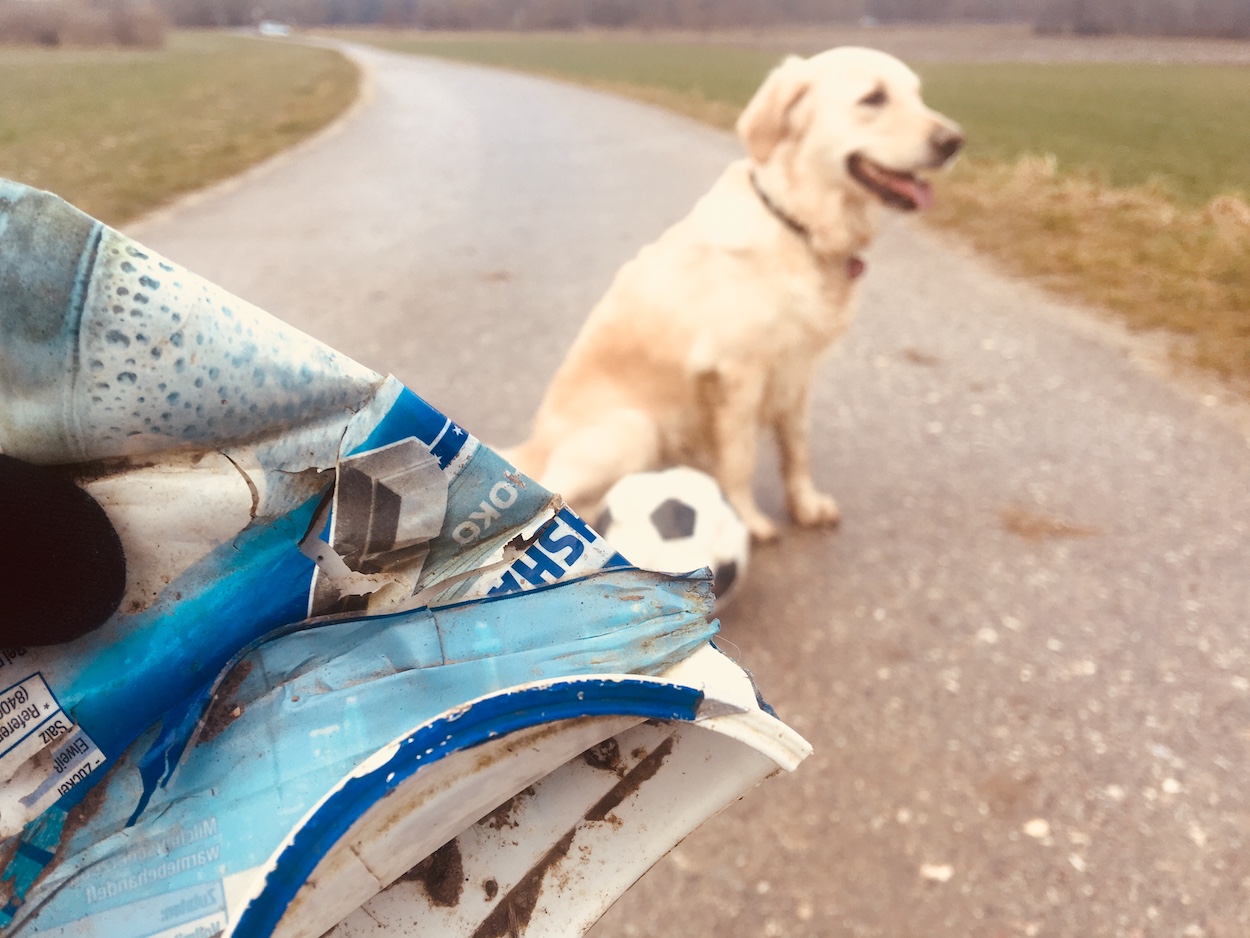 Hundeblog Nachhaltigkeit