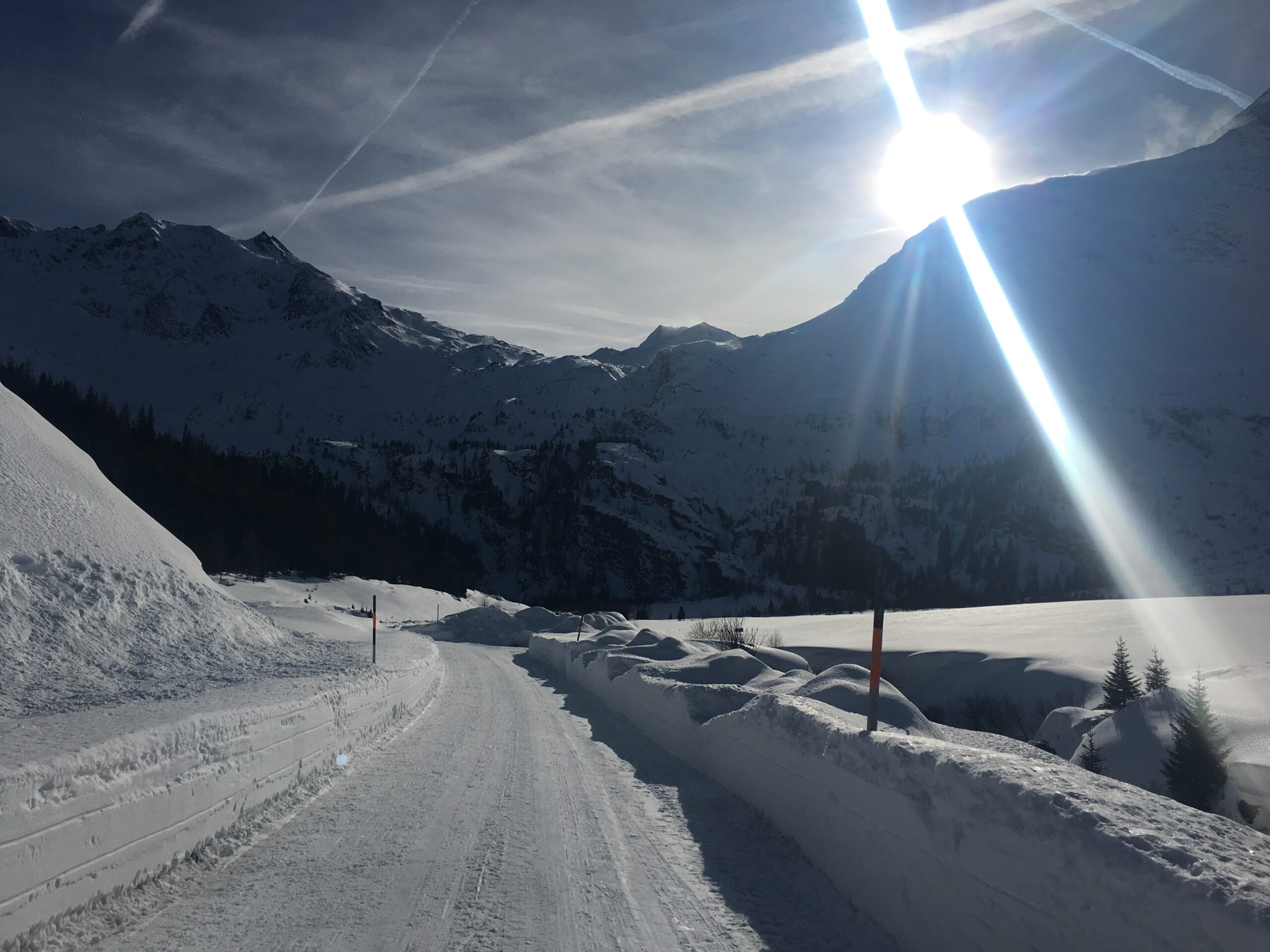 Urlaub Mit Hund Rauris Oesterreich 10