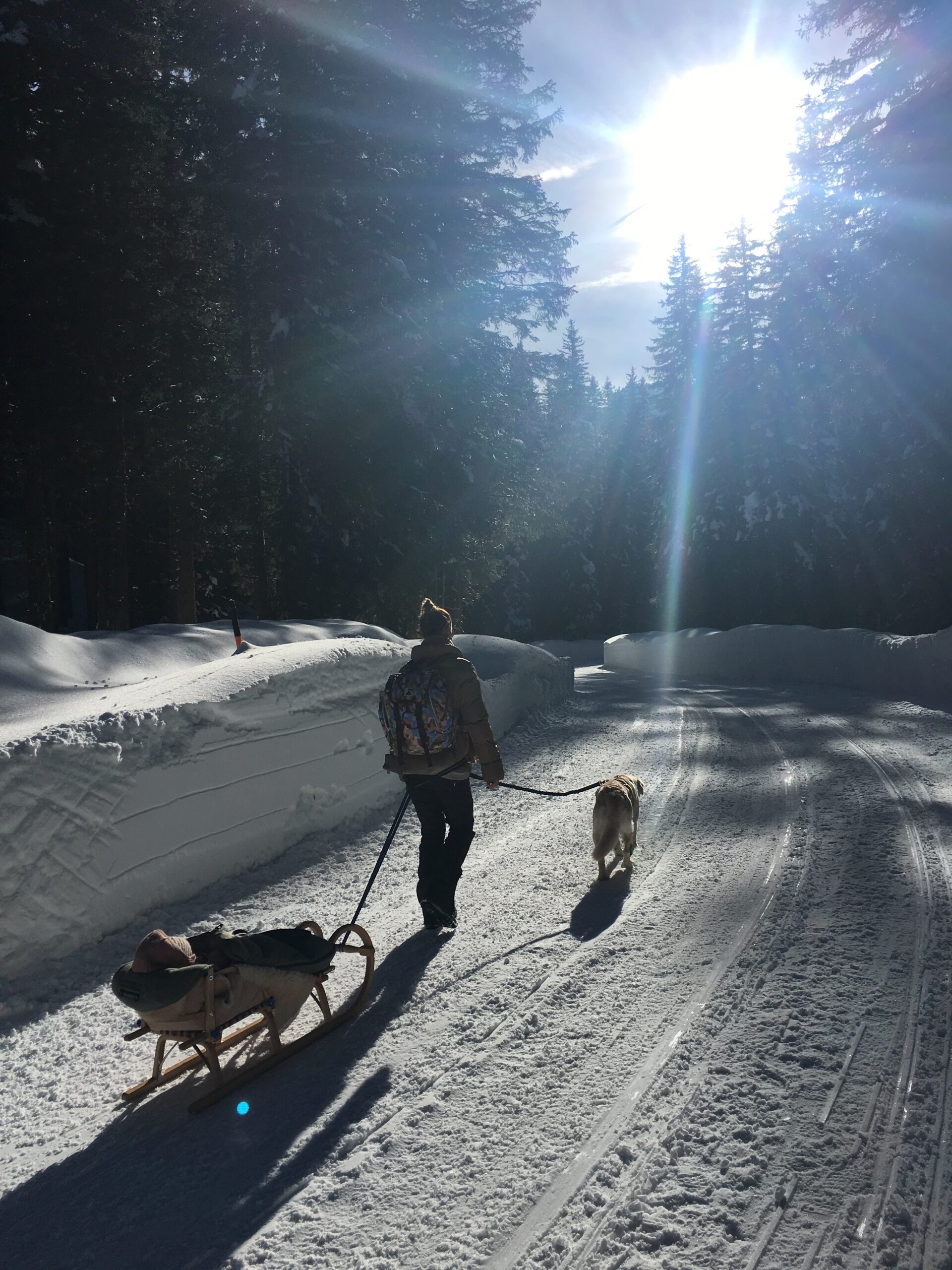 Urlaub Mit Hund Rauris Oesterreich 12