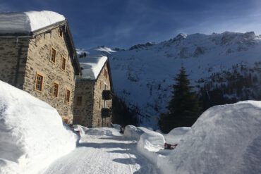 Urlaub Mit Hund Rauris Oesterreich 13