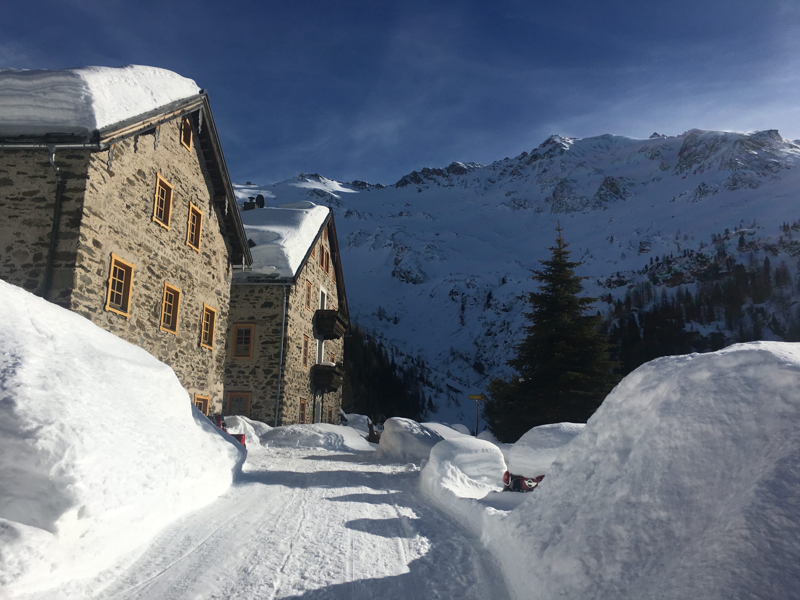 Urlaub Mit Hund Rauris Oesterreich 13