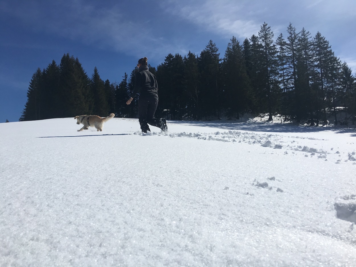 Tannheimer Tal Reisen Mit Hund 09