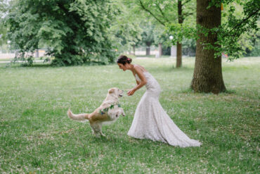 Hochzeit Mit Hund 1