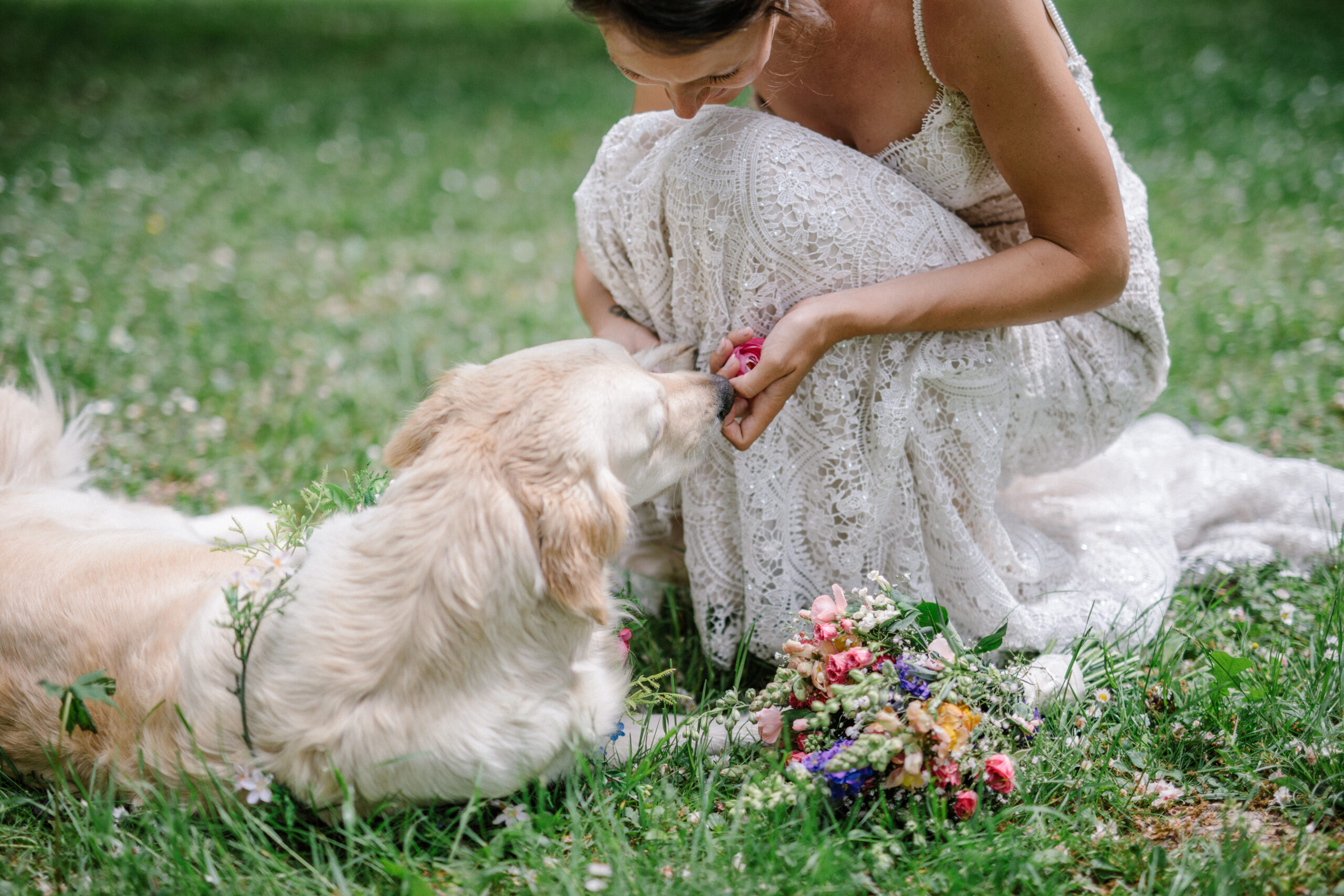 Hochzeit Mit Hund 2