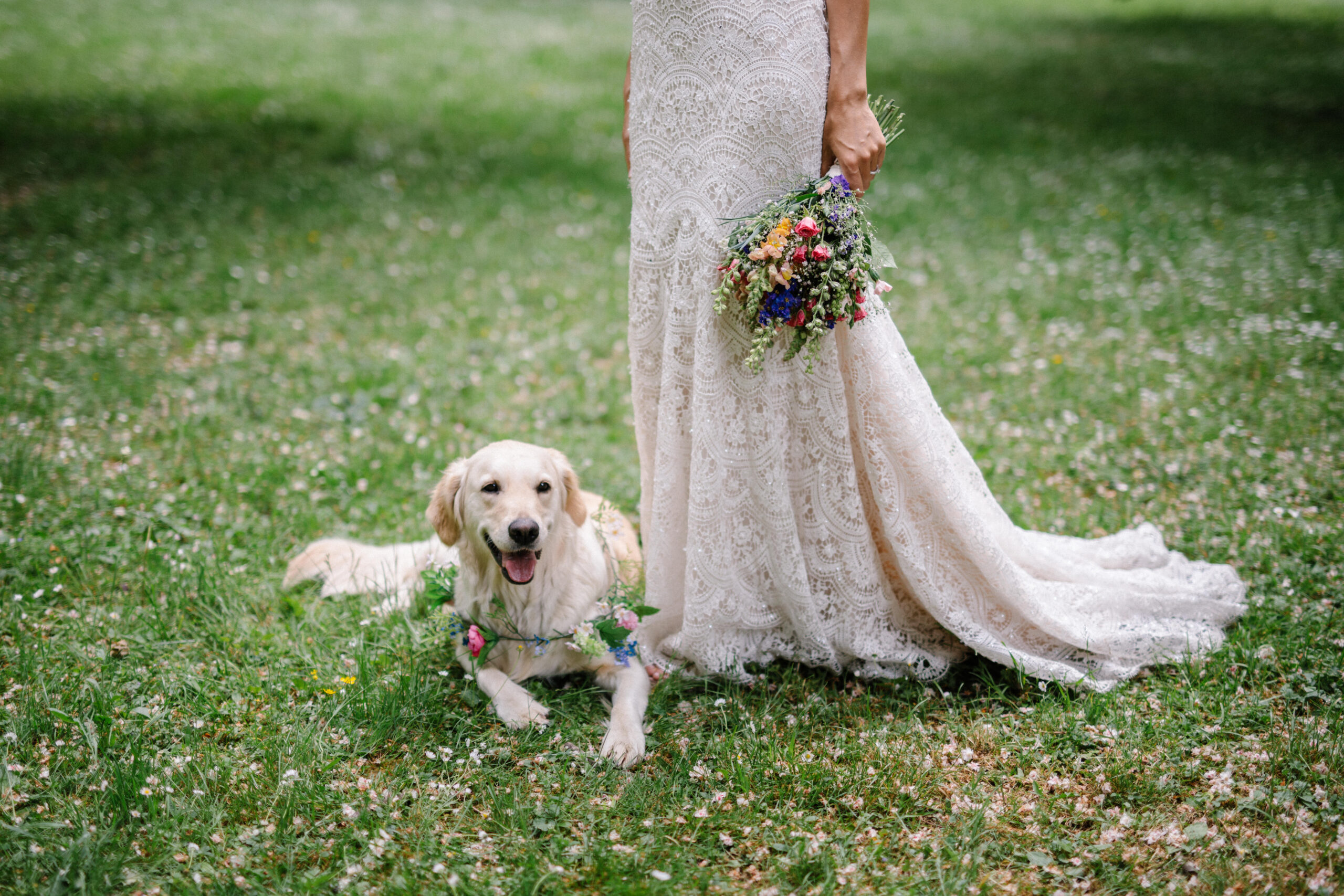 Hochzeit Mit Hund 3