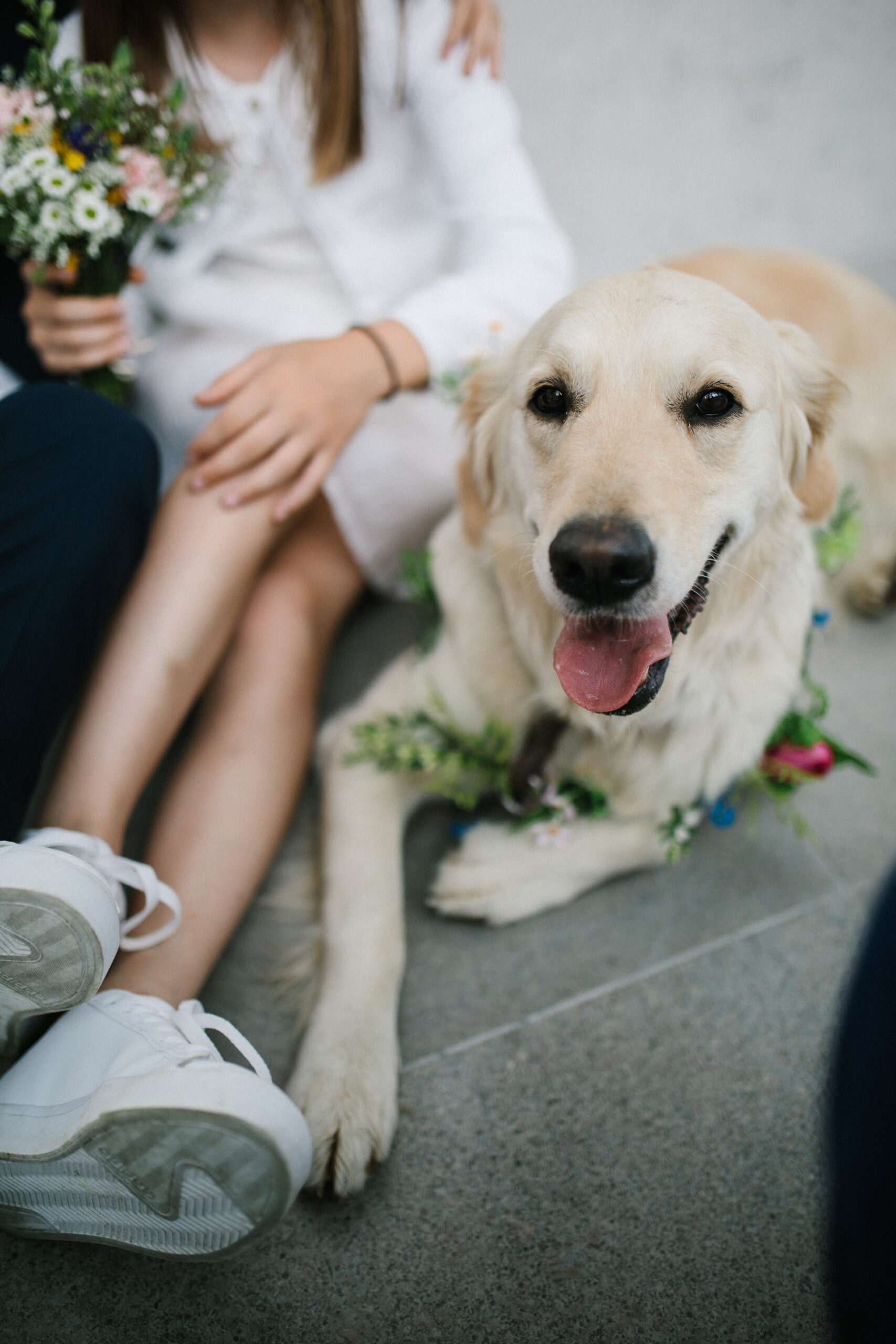 Hochzeit Mit Hund 6