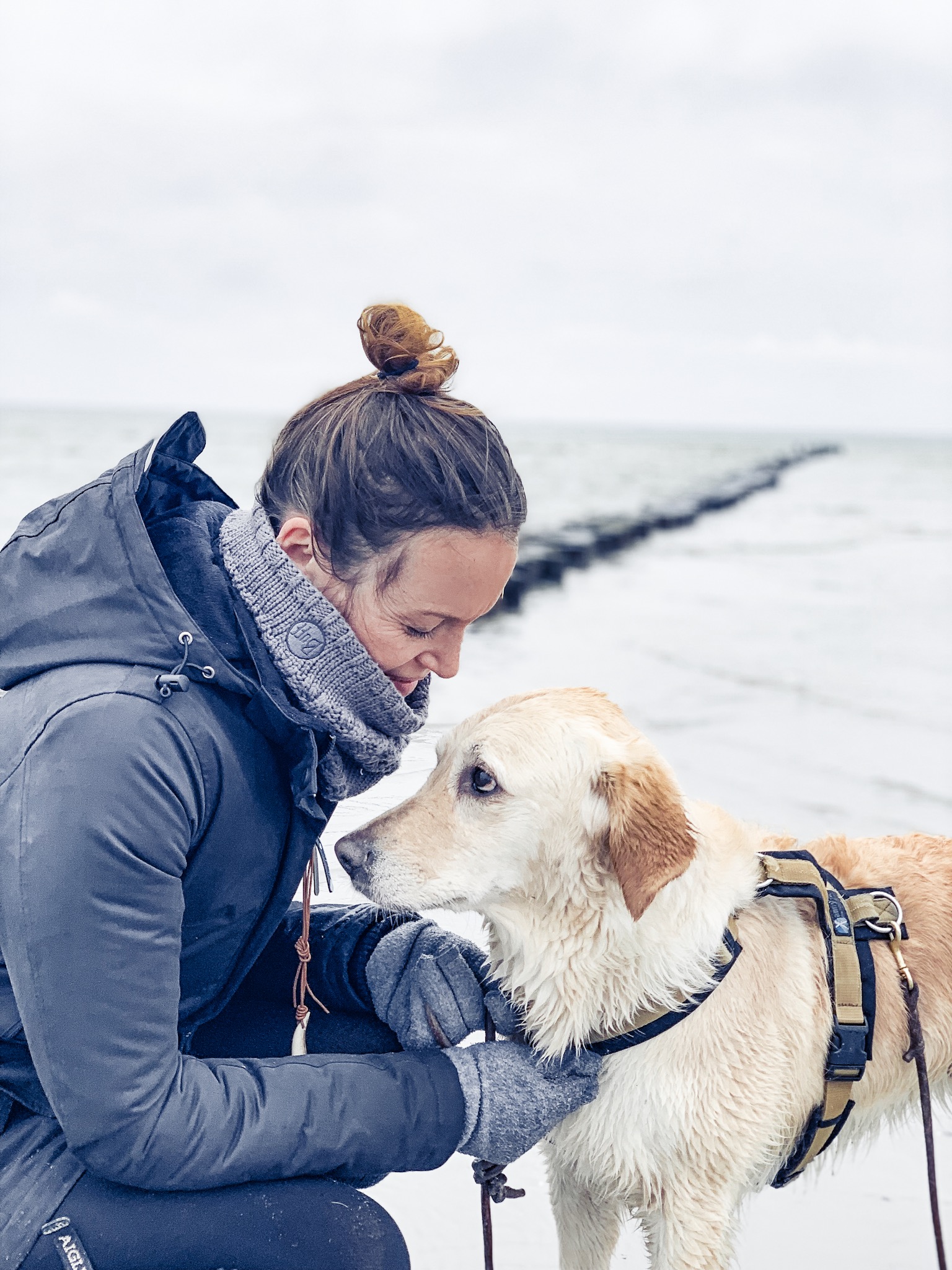 Urlaub Mit Hund Ahrenshoop Ostsee 09