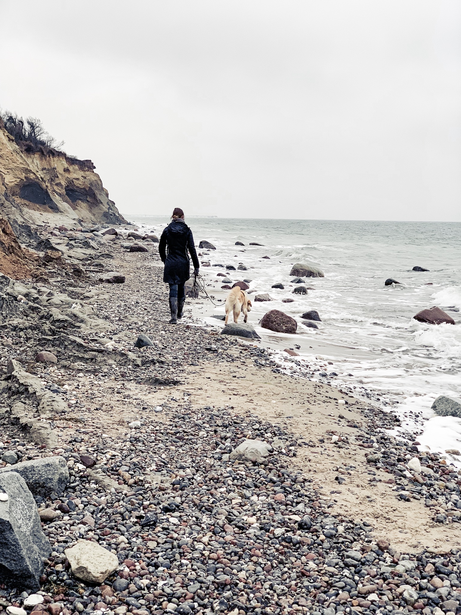 Urlaub Mit Hund Ahrenshoop Ostsee 19