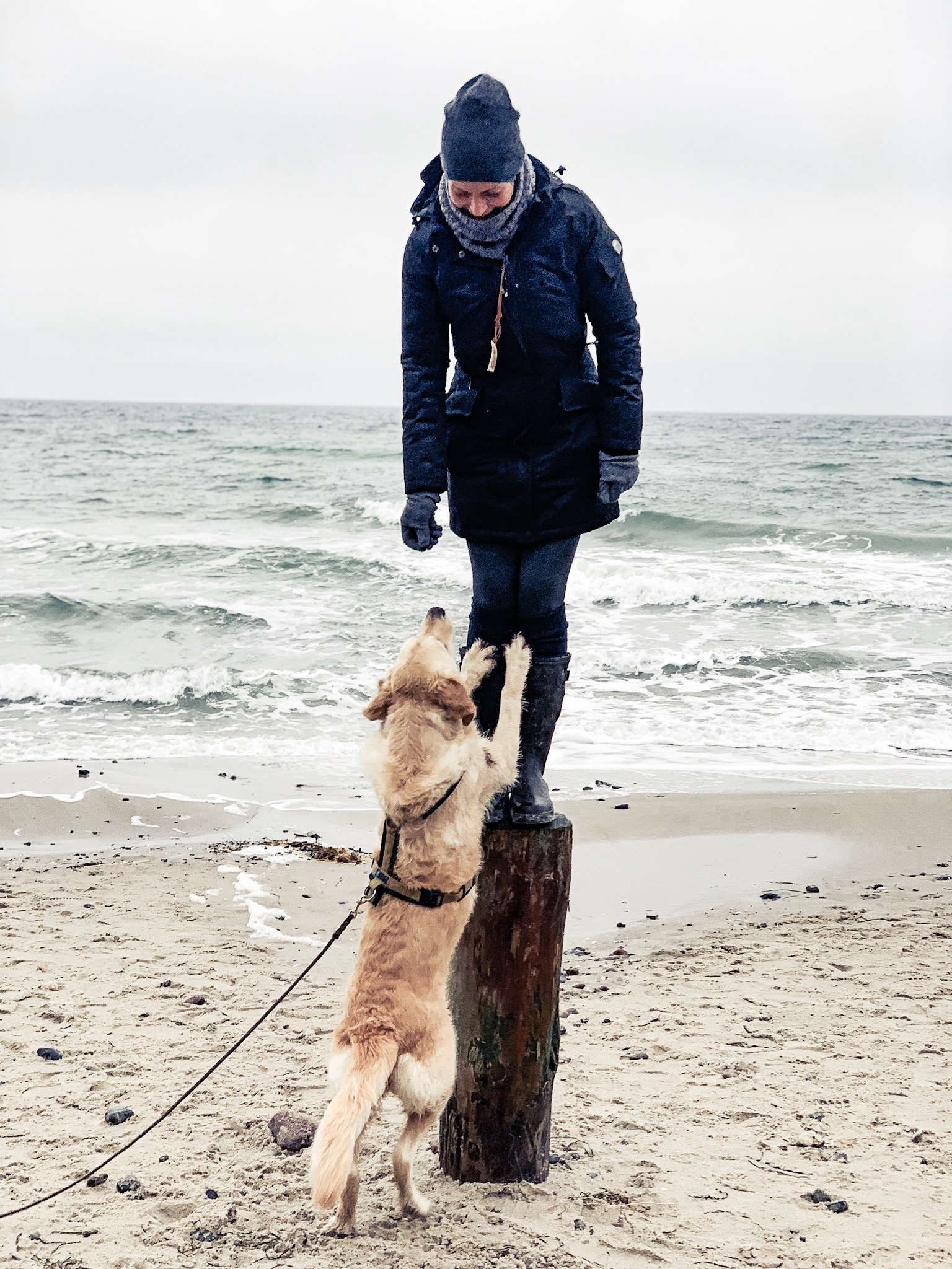 Urlaub Mit Hund Ahrenshoop Ostsee 21