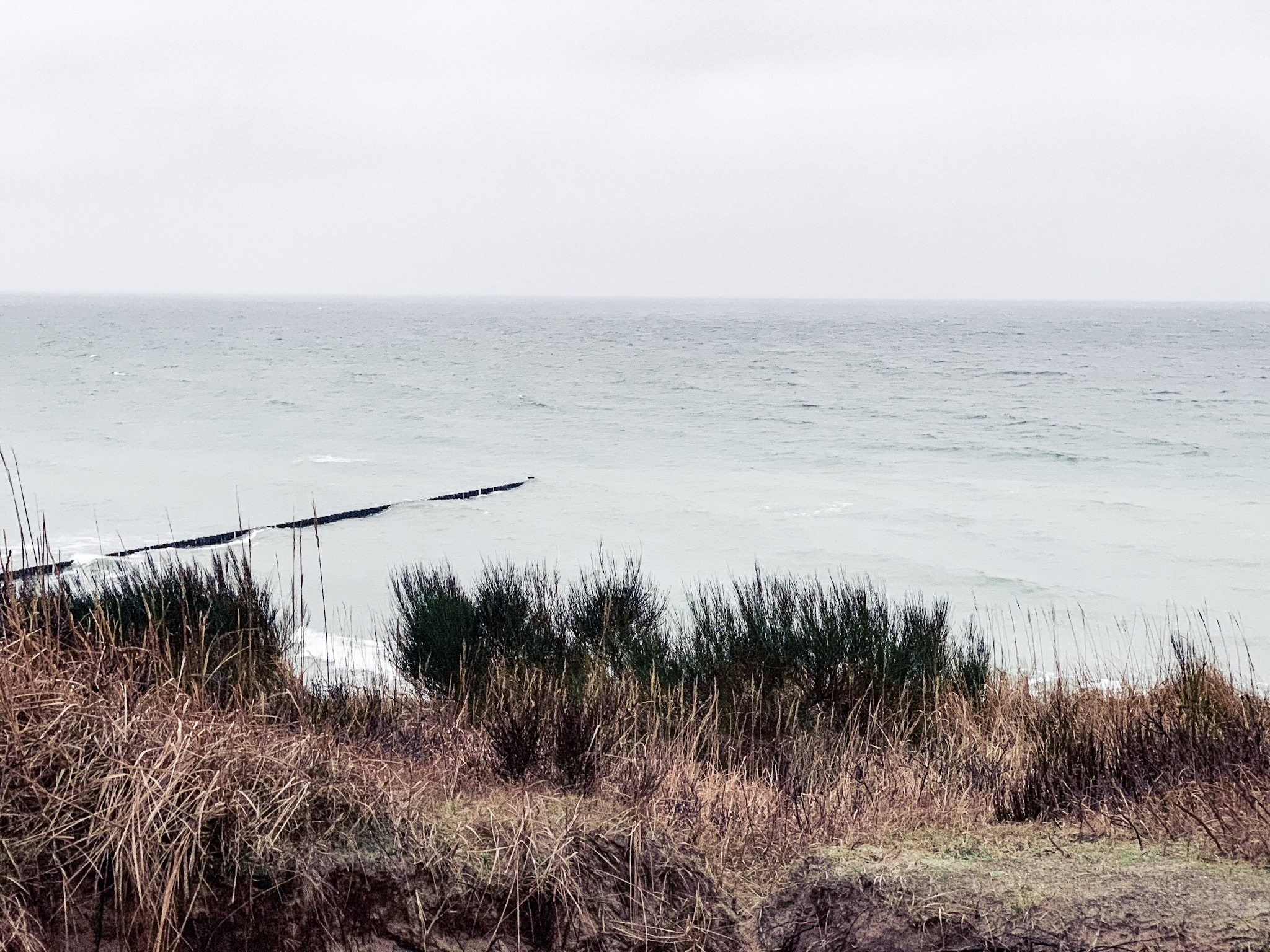 Urlaub Mit Hund Ahrenshoop Ostsee 23