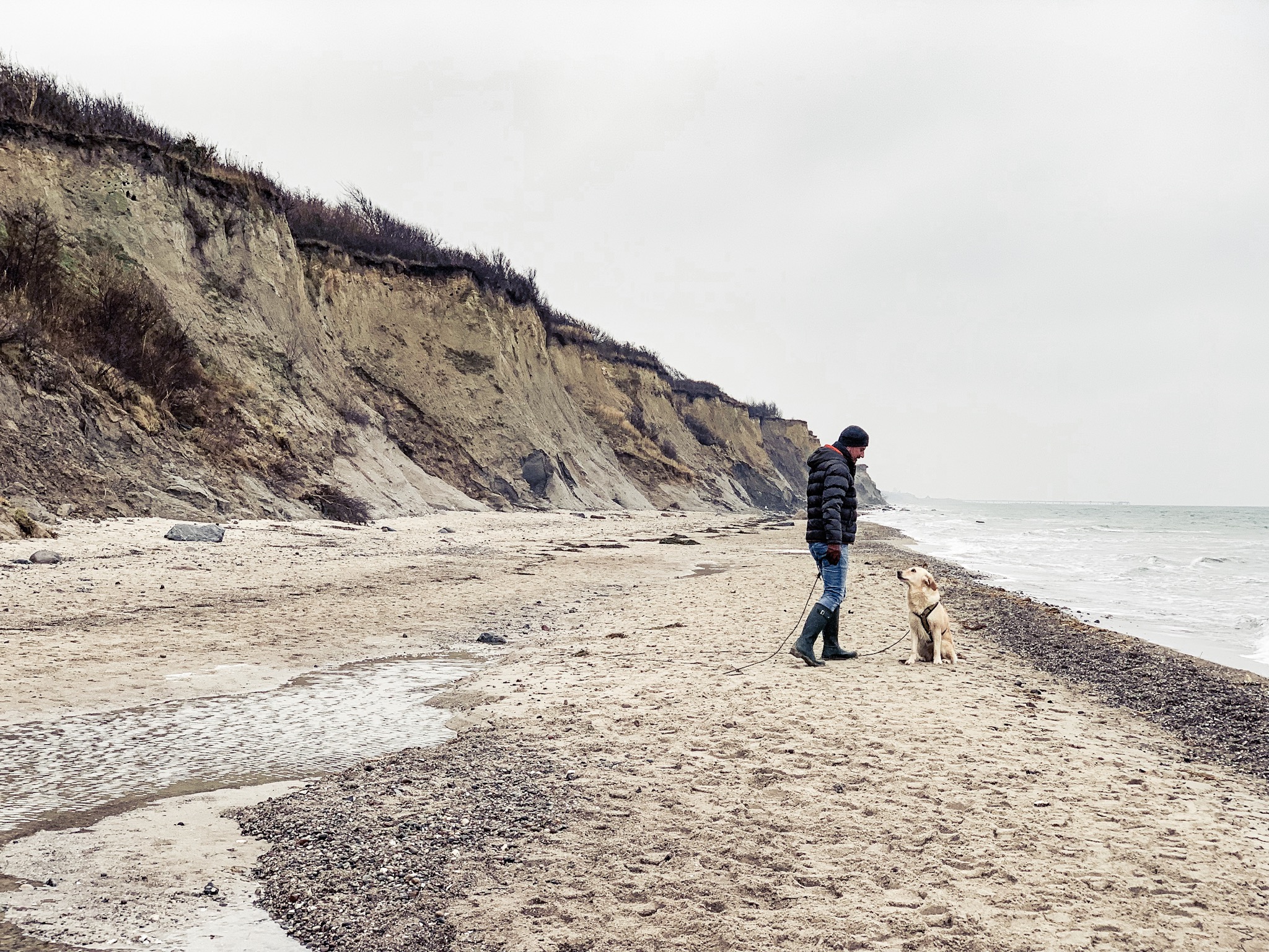 Urlaub Mit Hund Ahrenshoop Ostsee 25