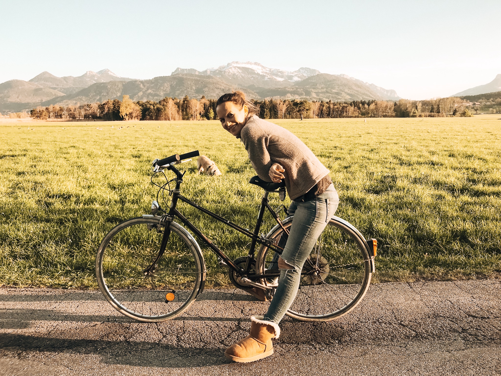 Reisen Mit Hund Chiemsee 10