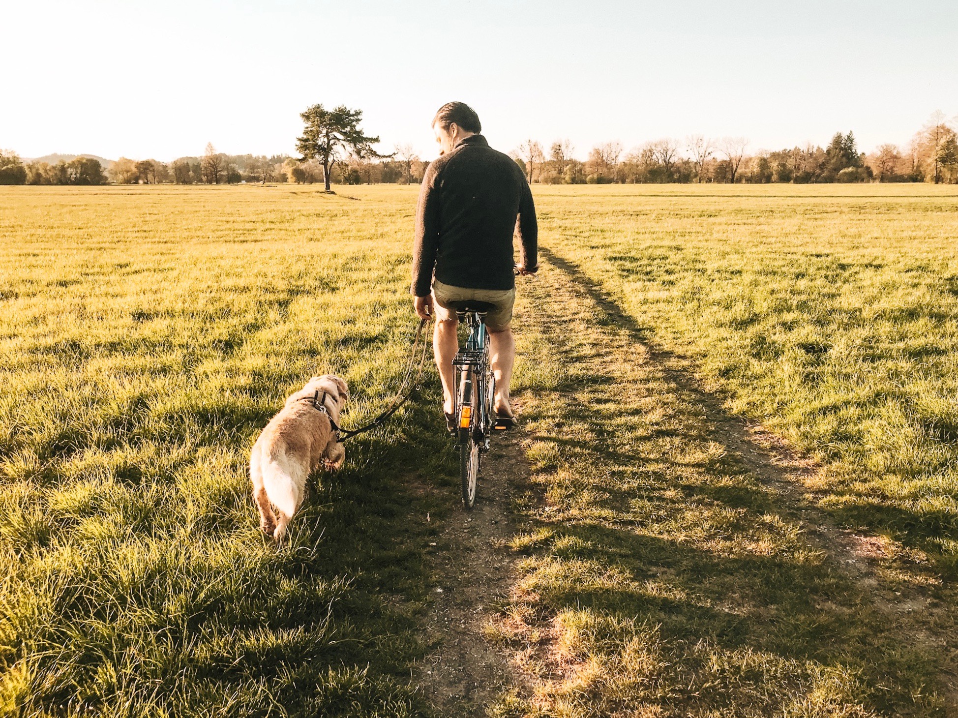 Reisen Mit Hund Chiemsee 12