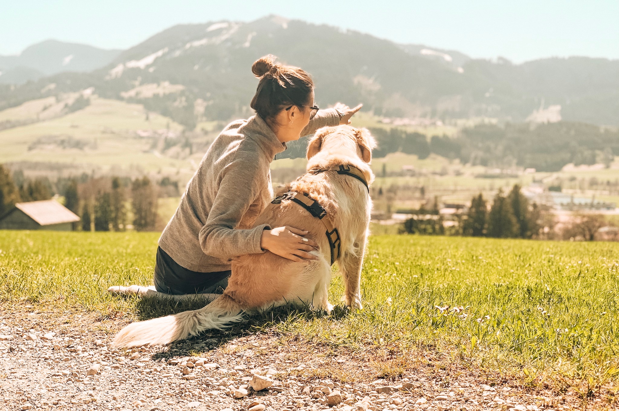 Reisen Mit Hund Chiemsee 5