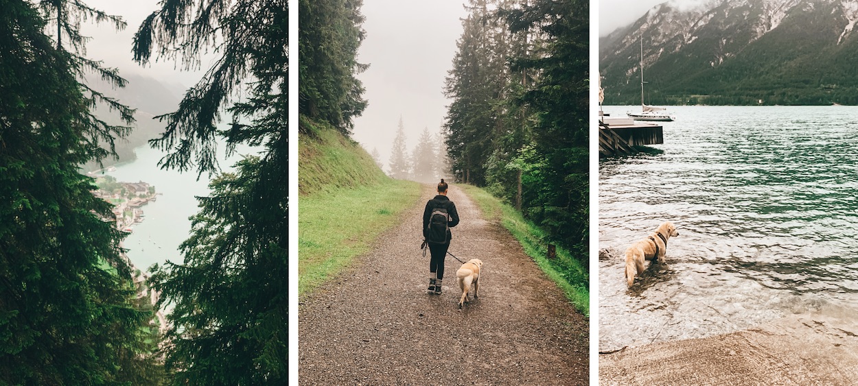 Wandermithund Achensee Oesterreich Kopie